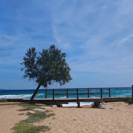 Avec Terrasse à 150m De La Bormes-les-Mimosas